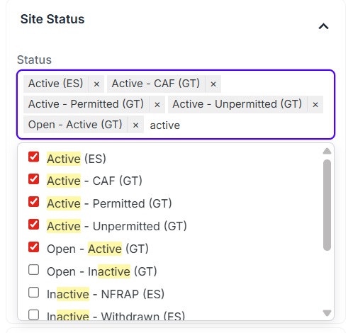 Status filter with multiple Active values selected